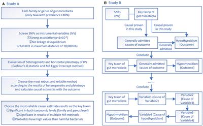 Causal effect of gut microbiota of Defluviitaleaceae on the clinical pathway of “Influenza–Subacute Thyroiditis–Hypothyroidism”